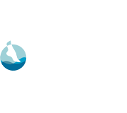 perfeet logo